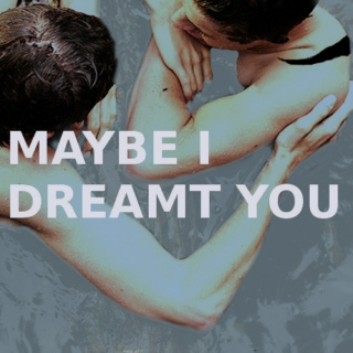 maybe i dreamt you