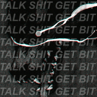 TALK SHIT GET BIT
