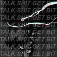 TALK SHIT GET BIT