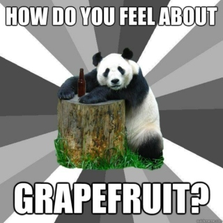 Isabelle is a grapefruit panda