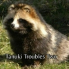 Tanuki Troubles Two