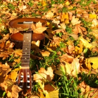 Fall Country