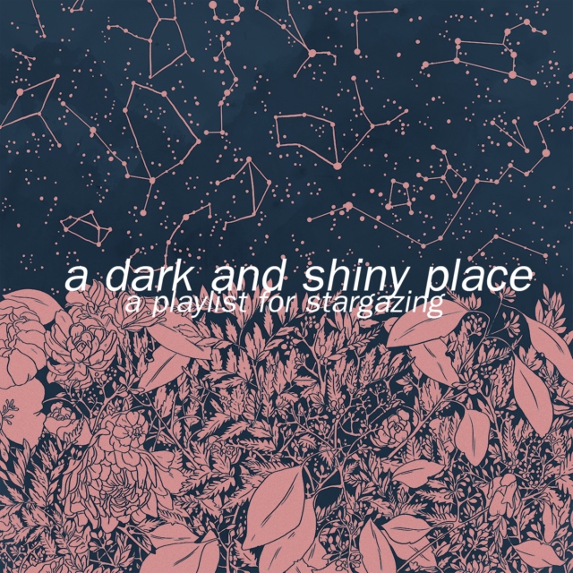 a dark and shiny place