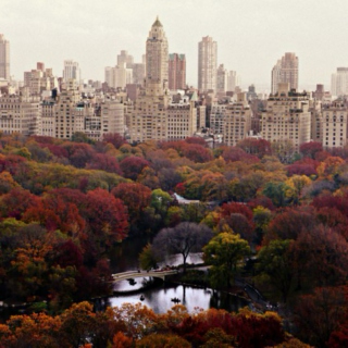 autumn in nyc