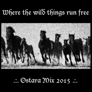 Where the Wild Things Run Free - Ostara Mix 2015