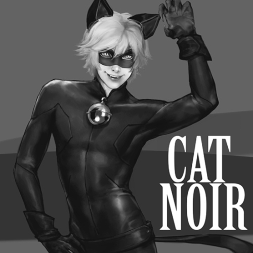 Hot chat noir The History