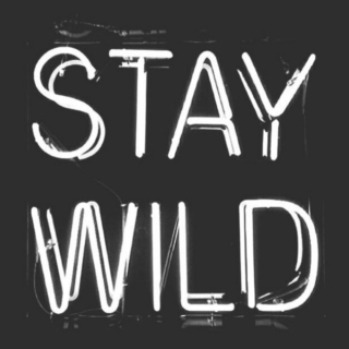 Just stay W!LD