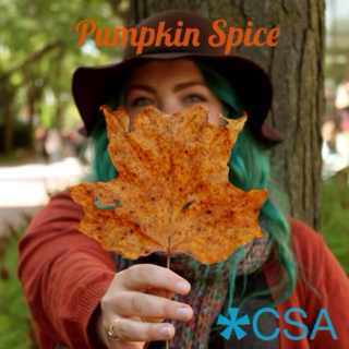 CSA: Pumpkin Spice Mix