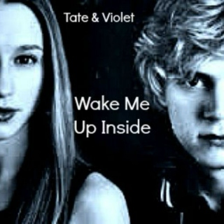 wake me up inside -violate-
