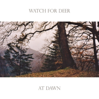 WATCH FOR DEER AT DAWN