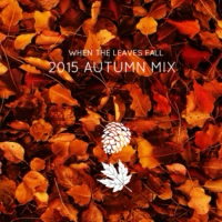 When the leaves fall (Autumn Mix)