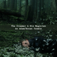 the dreamer and his magician
