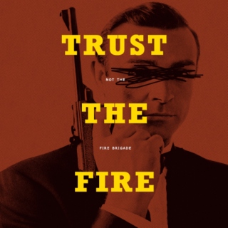trust the fire (not the fire brigade)