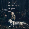 The wolf dreams were the good ones