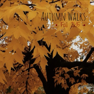 ❃ Autumn Walks ❃ || Fall 2k15