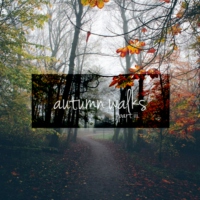 autumn walks (iii.)