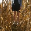 Ghost in a Corn Field 