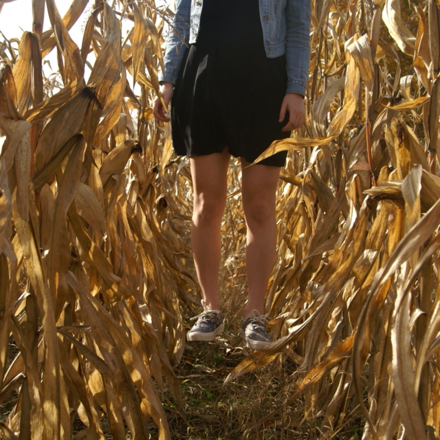 Ghost in a Corn Field 