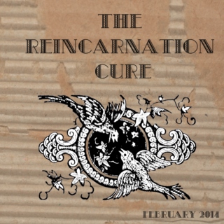 The Reincarnation Cure