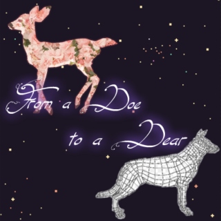 ☆°・*:.・From a Doe to a Dear・.:*・°☆