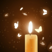 Moth & Candle