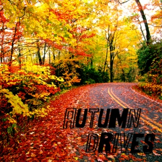autumn drives