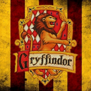 Gryffindor Common Room (party)