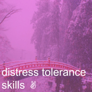 distress tolerance skills ✌