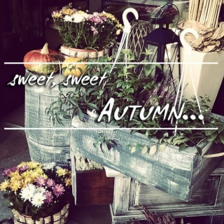 sweet, sweet autumn