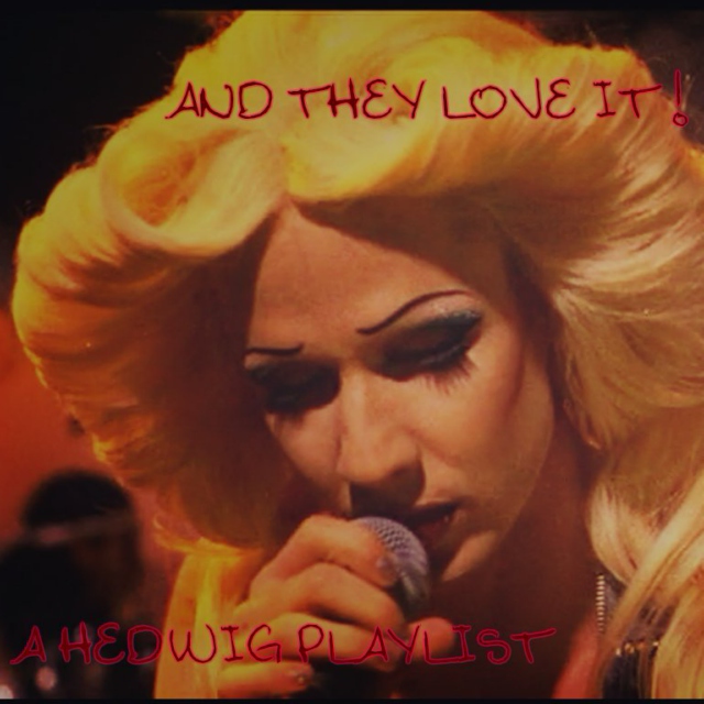 AND THEY LOVE IT! // a hedwig playlist