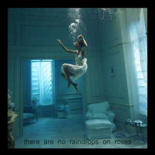 there are no raindrops on roses