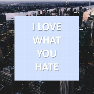 I Love What You Hate