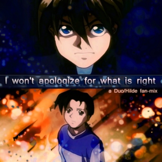 I won't apologize for what is right - 2xH mix