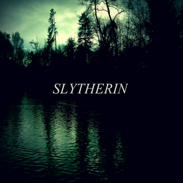 tumblr fall backgrounds boy out and free  8tracks Slytherin    (16 songs) radio Pride