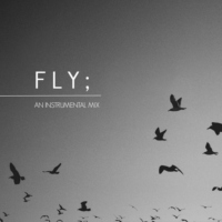 fly;