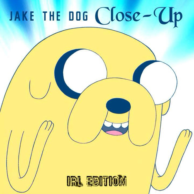 Jake the Dog's CLOSE-UP (IRL EDITION) Part 1