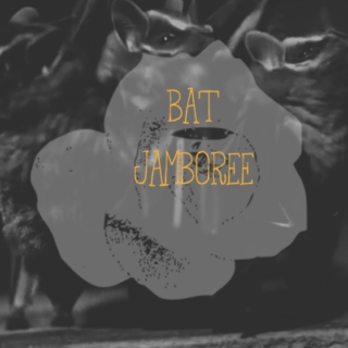 Bat Jamboree