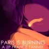 [ PARIS IS BURNING ]
