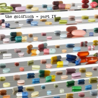 The Goldfinch - Part IV