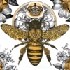 Songs for Queen Bees