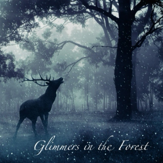 Glimmers in the Forest