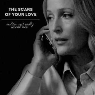 the scars of your love | msr 