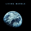 LIVING MARBLE