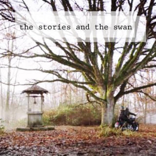 The Stories and The Swan