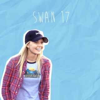 Swan 17 