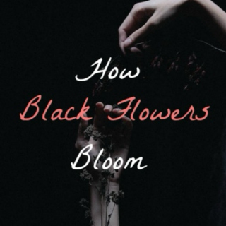 How Black Flowers Bloom