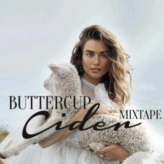 Fall 15 Buttercup Cider