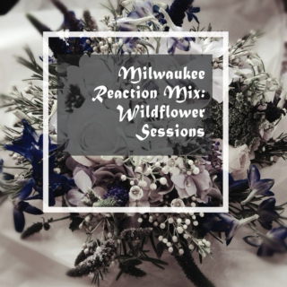 Milwaukee: Wildflower Sessions