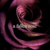 A Fallen Rose #1