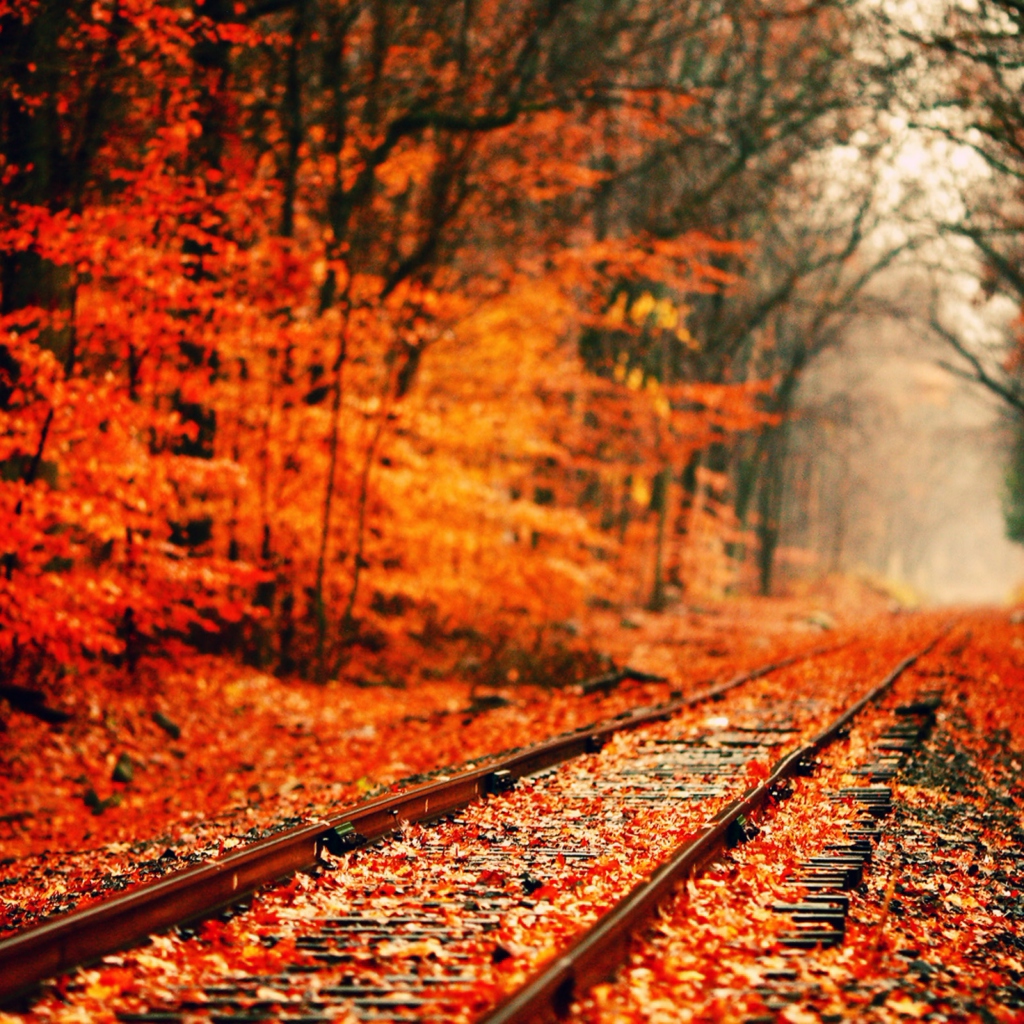 8tracks radio | that fall aesthetic (11 songs) | free and music playlist